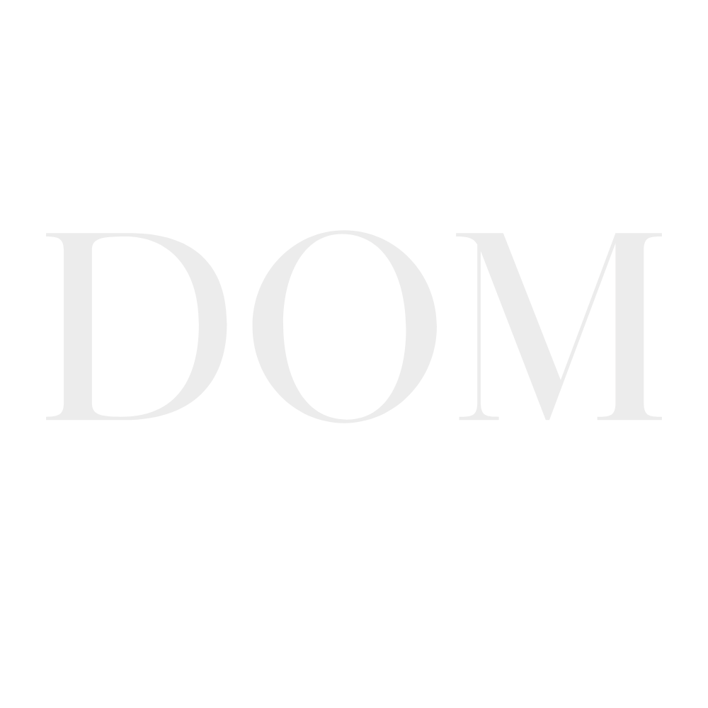 logo light